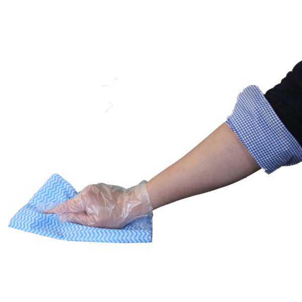 Poly Gloves Non-Sterile Polyethylene Clear - Image 3